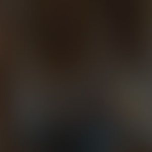 Meet your Posher, Sylvester